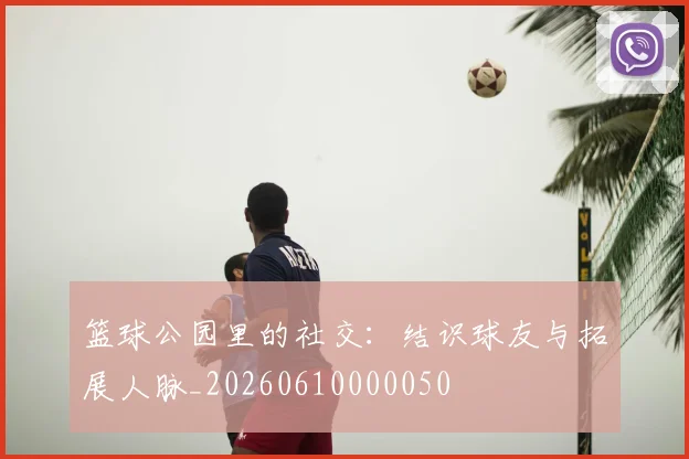 篮球公园里的社交:结识球友与拓展人脉_20260610000050