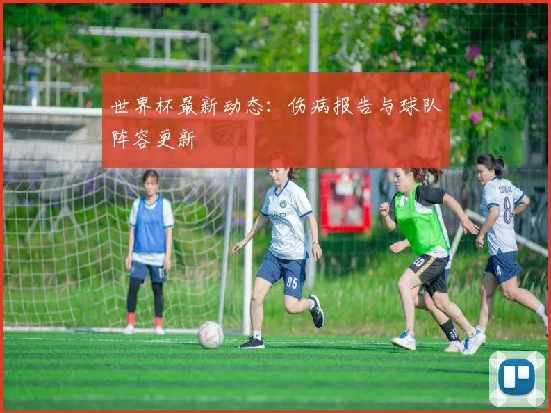 世界杯最新动态:伤病报告与球队阵容更新