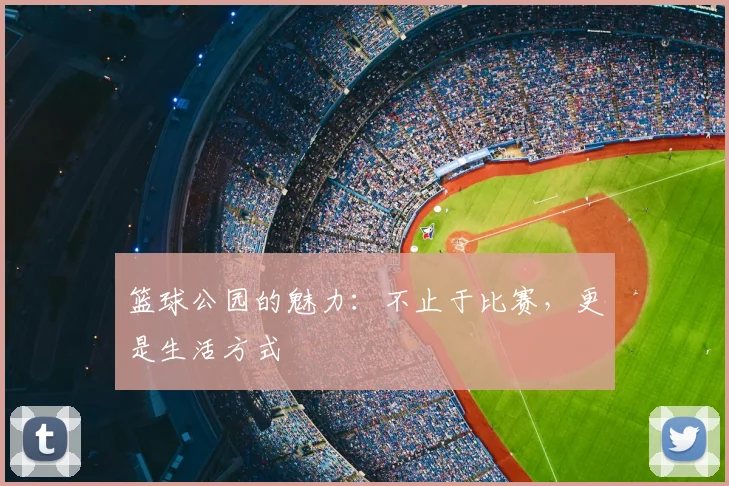 篮球公园的魅力:不止于比赛,更是生活方式